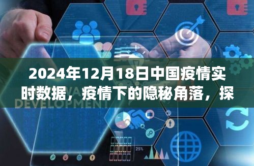 疫情下的隐秘角落，探索中国小巷特色小店与实时数据报告（2024年12月18日）