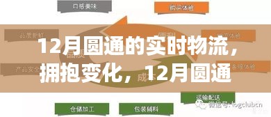 12月圆通的物流之旅，拥抱变化，开启智慧之旅的自信与成就感