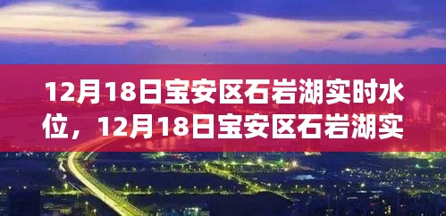 2024年12月20日 第15页