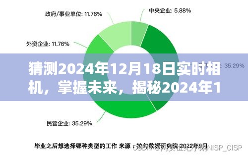 2024年12月20日 第11页