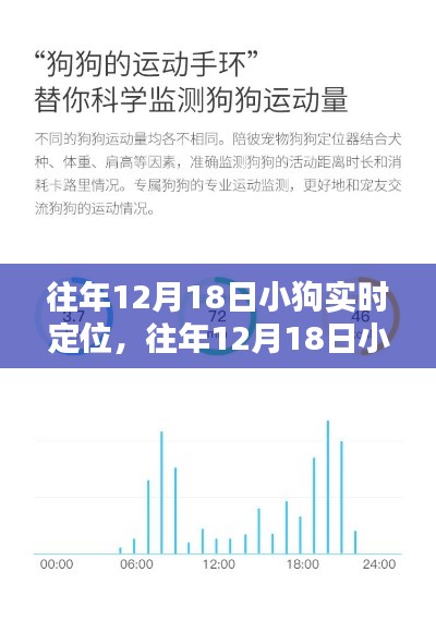 小狗实时定位产品全面评测与介绍，历年12月18日回顾分析