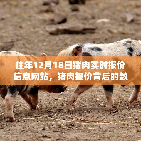 猪肉报价背后的数字魔法，学习变化，成就梦想之路