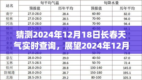 2024年12月20日 第4页