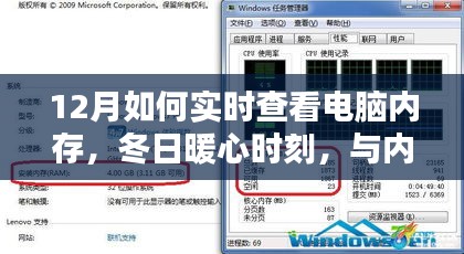冬日暖心时刻，实时查看电脑内存，与内存共舞的日子