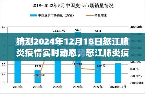 2024年12月18日怒江肺炎疫情实时动态分析与展望