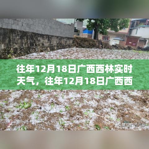 往年12月18日广西西林实时天气分析与解读