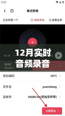 小红书独家揭秘，聆听冬季实时音频录音，感受秘密声音的魅力！