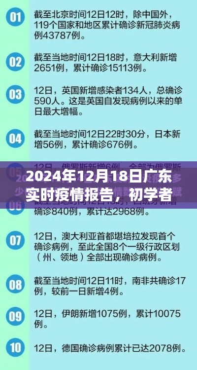 广东实时疫情报告详解，初学者指南与步骤解析（2024年12月版）