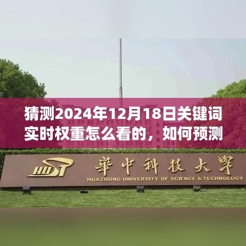 如何预测与解读2024年12月18日关键词实时权重，步骤指南与猜测策略分析