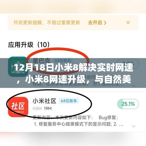 小米8网速升级，实时畅享，与自然美景共舞的心灵之旅