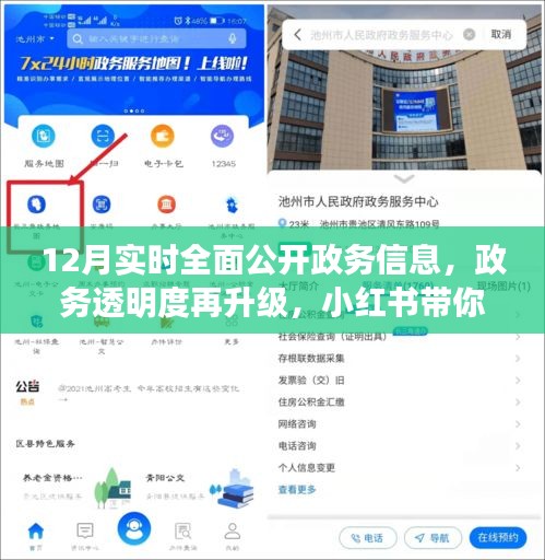 小红书引领政务透明度再升级，十二月实时政务信息公开新篇章揭秘