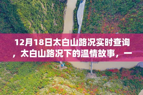 太白山路况实时查询，冬日暖阳下的温情故事与同行之路