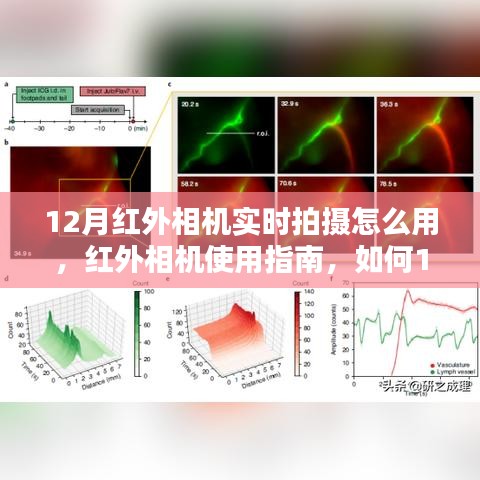 12月红外相机实时拍摄指南，使用红外相机进行高效拍摄的操作步骤