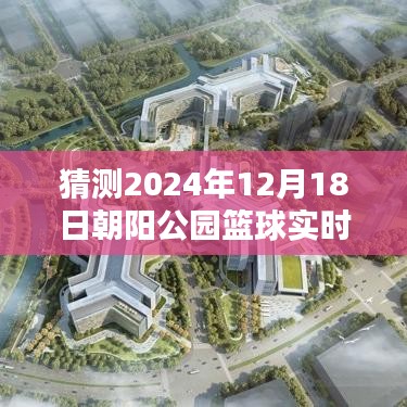 朝阳公园篮球盛宴，实战体验与预测，享受篮球盛宴的绝佳指南（2024年12月18日）