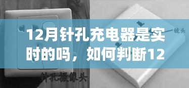 12月针孔充电器实时性解析，从初学者到进阶用户的完全指南