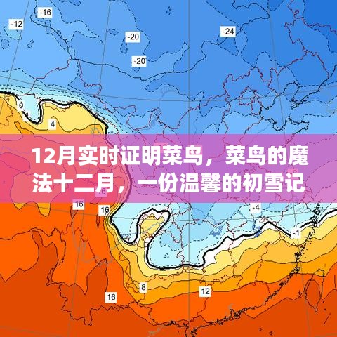 菜鸟的魔法十二月，初雪记忆与友情故事的温馨之旅