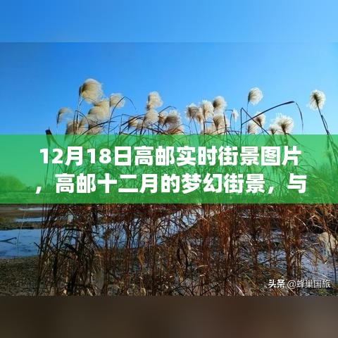 高邮十二月梦幻街景与自然美景的邂逅实拍图片欣赏