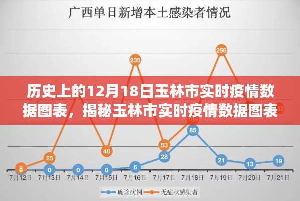 历史上的12月18日玉林市疫情数据图表深度解析，实时数据与趋势分析