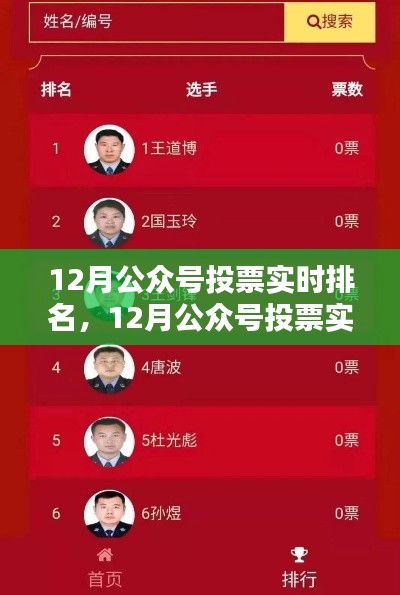 12月公众号投票实时排名，全面评测与深度解析