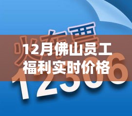 12月佛山员工福利概览，温情纽带与惊喜时刻