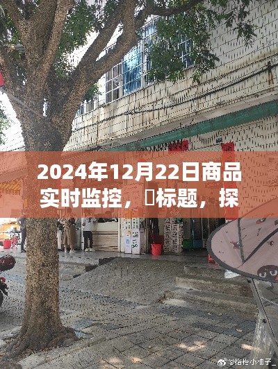 探秘小巷深处的宝藏，特色商品实时监控小店在行动