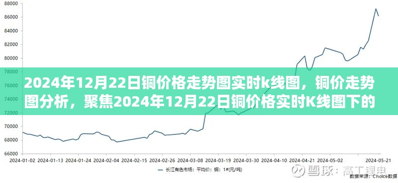 2024年12月23日 第20页