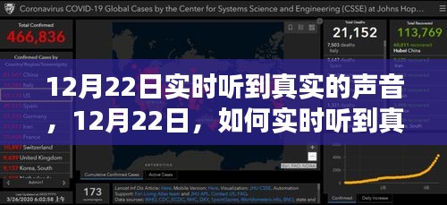 12月22日实时听到真实声音，详细步骤指南