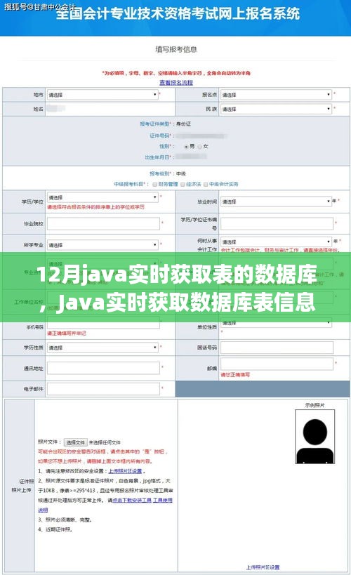 Java实时获取数据库表信息的演变与当下影响力，历史背景、关键进展及影响分析