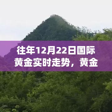 黄金岁月，友情、家庭与黄金的交织故事及往年国际黄金实时走势分析