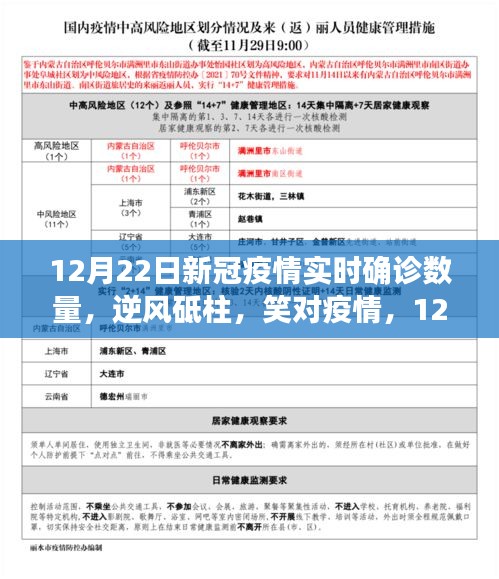 逆风砥柱，笑对疫情，揭秘12月22日新冠疫情实时确诊数量背后的故事