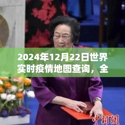 全球视野下的实时疫情监控，深度评测2024年12月22日世界实时疫情地图查询