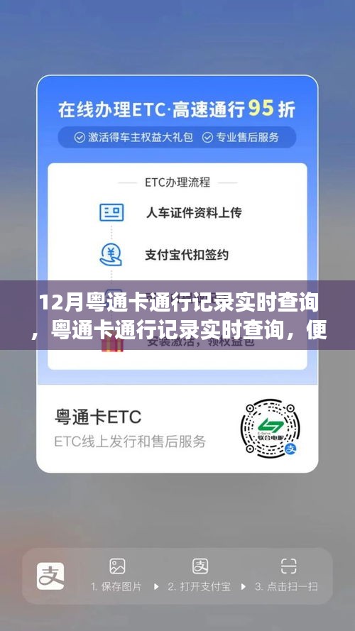 粤通卡通行记录实时查询，便捷服务引发争议