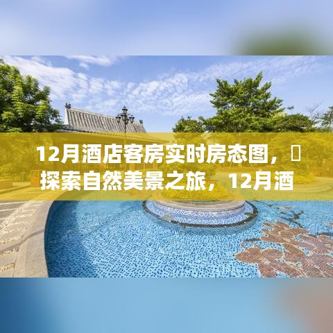 12月酒店客房实时房态图，自然美景之旅，探寻内心的宁静与微笑之旅