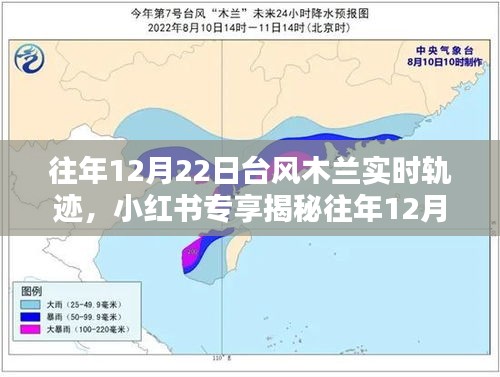 2024年12月23日 第6页