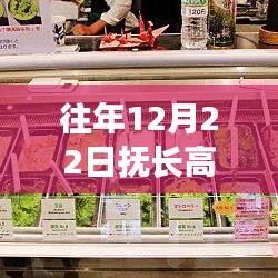 探秘抚长高速日常路况与巷弄惊喜小店，12月22日实时路况回顾