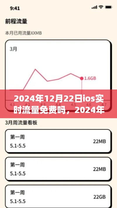 关于iOS实时流量费用的解析，2024年12月22日iOS流量费用揭秘与实时流量免费与否的探讨