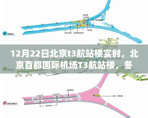 冬至时刻的枢纽脉动，北京首都国际机场T3航站楼实时观察