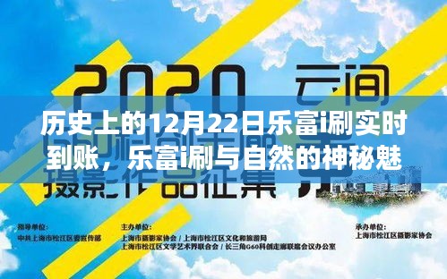 乐富i刷，与自然神秘魅力共舞的心灵之旅——历史上的12月22日实时到账纪事