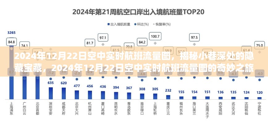 揭秘小巷深处的宝藏，2024年空中实时航班流量图的奇妙探索之旅