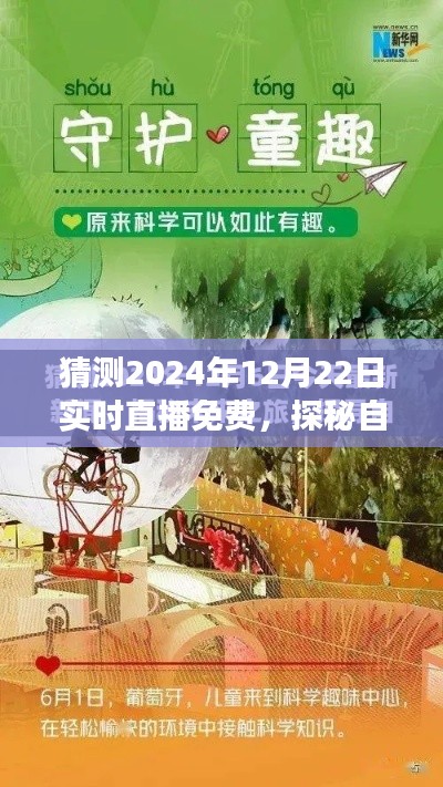 探秘自然秘境，免费直播旅行启示录，领略心灵深处的宁静与喜悦（2024年12月22日实时直播）