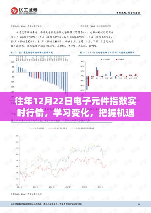 历年12月22日电子元件指数深度解析，实时行情、学习变化与励志故事标题建议，历年电子元件指数背后的机遇与挑战，深度解析与励志故事分享。