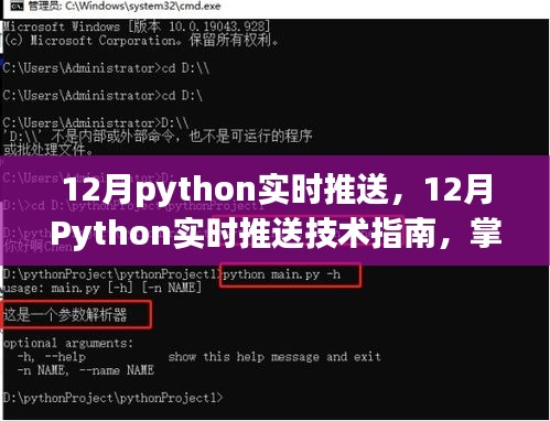 掌握Python实时推送技术，核心要素指南