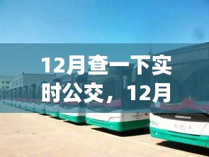 12月实时公交查询，便捷与局限并存