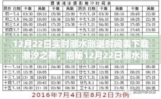 揭秘潮汐之舞背后的故事，12月22日潮水涨退时间表下载全解析