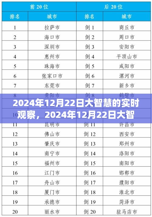 大智慧实时观察，科技、人文与未来的交融（2024年12月22日观察报告）