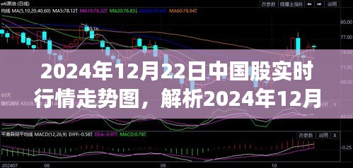 从某某观点解析，2024年12月22日中国股市实时行情走势图深度剖析