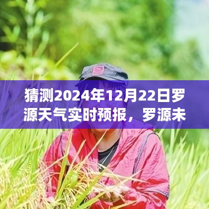 罗源天气预报，探索变化中的学习，自信成就之源的未来气象预测（2024年12月22日实时更新）