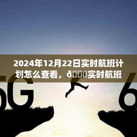 2024年实时航班计划查看指南，智能追踪，开启未来航班之旅