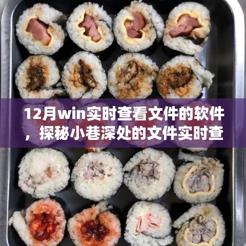 探秘十二月实时查看文件宝藏，软件与隐藏店铺的双重惊喜