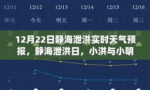 2024年12月24日